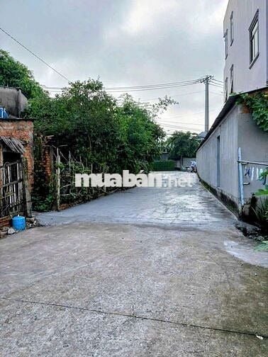 Đất thổ cư 1/Trần Thị Bốc-Thới Tam Thôn-Hóc Môn.Dt 148m2~4,5ty