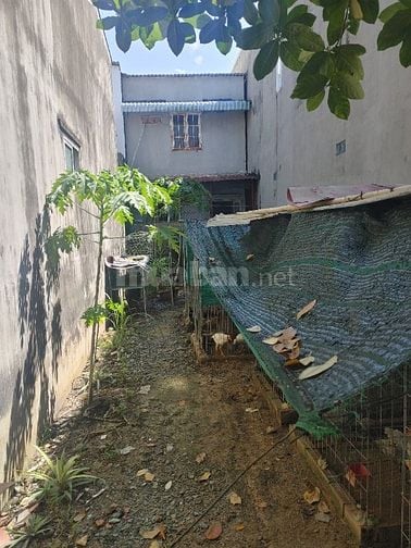 Bán đất thổ cư sổ đỏ 100 m2, gần Cao đẳng Điện lực quận 12, giá 3.7 tỷ