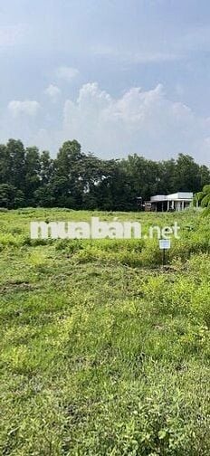 Chính chủ bán đất thổ cư giá rẻ - ĐỨC HÒA hơn 700m2