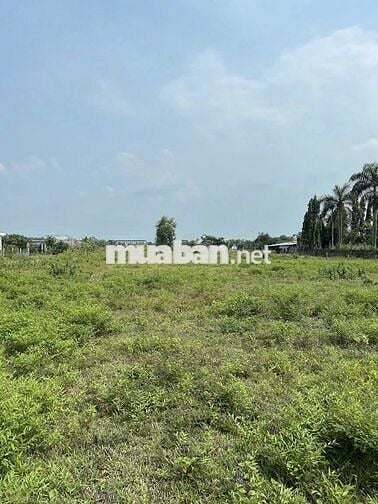 Chính chủ bán đất thổ cư giá rẻ - ĐỨC HÒA hơn 700m2