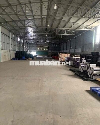 Cho thuê kho, xưởng 550m2 Đông Thạnh Hóc Môn