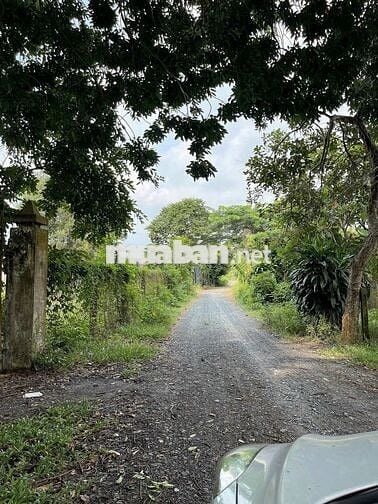 Chính chủ bán đất thổ cư giá rẻ - ĐỨC HÒA hơn 700m2