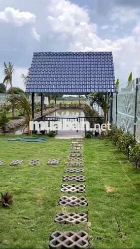 NHÀ VƯỜN THOÁNG MÁT ,ĐƯỜNG XE TẢI TỚI ĐẤT ,ĐƯỜNG THÔNG 2 ĐẦU .......