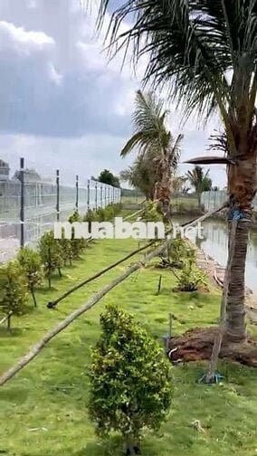 NHÀ VƯỜN THOÁNG MÁT ,ĐƯỜNG XE TẢI TỚI ĐẤT ,ĐƯỜNG THÔNG 2 ĐẦU .......