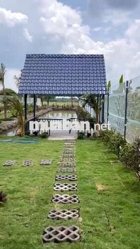 NHÀ VƯỜN THOÁNG MÁT ,ĐƯỜNG XE TẢI TỚI ĐẤT ,ĐƯỜNG THÔNG 2 ĐẦU .......