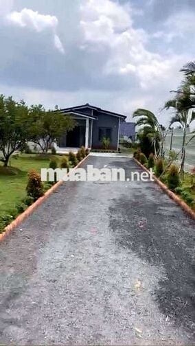 NHÀ VƯỜN THOÁNG MÁT ,ĐƯỜNG XE TẢI TỚI ĐẤT ,ĐƯỜNG THÔNG 2 ĐẦU .......