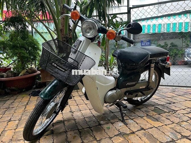 Bán xe đẹp 50cc cho học sinh đi