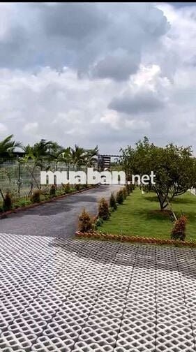 NHÀ VƯỜN THOÁNG MÁT ,ĐƯỜNG XE TẢI TỚI ĐẤT ,ĐƯỜNG THÔNG 2 ĐẦU .......