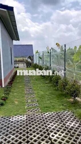 NHÀ VƯỜN THOÁNG MÁT ,ĐƯỜNG XE TẢI TỚI ĐẤT ,ĐƯỜNG THÔNG 2 ĐẦU .......