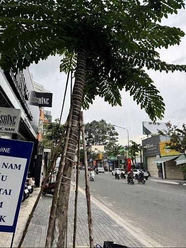 Chính chủ cần bán đất mặt tiền kinh doanh CMT8