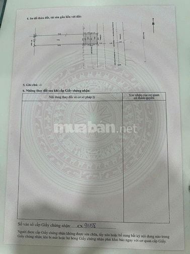 Đất mặt tiền đường số 8 BHHA - 77m2 giá chỉ 8 tỷ thương lượng 