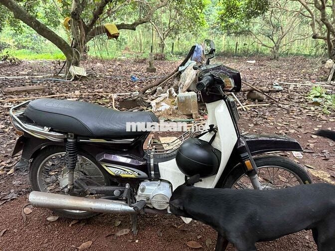 boss sada siêu bền siêu tiết kiệm xăng