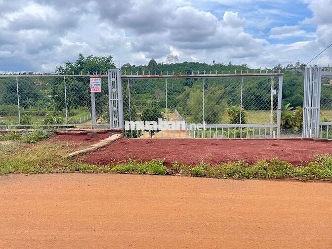 Cần tiền trả nợ bán lỗ lô 1920m2 giá 300triệu Phường Lộc Phát- Bảo Lộc