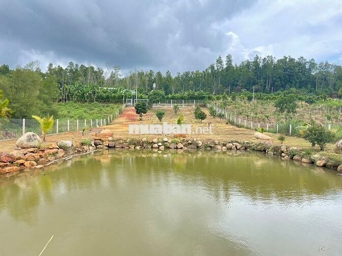 Cần tiền trả nợ bán lỗ lô 1920m2 giá 300triệu Phường Lộc Phát- Bảo Lộc