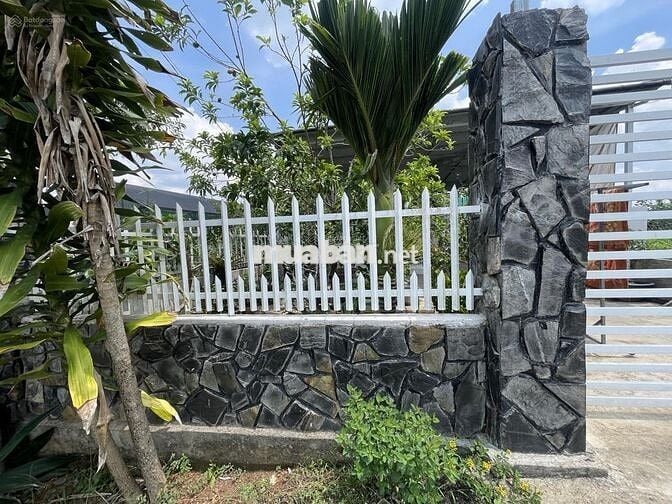 Cần bán lỗ gấp trong tuần 22x57,5m, 1266m2 giá 300triệu sẵn nhà cấp 4