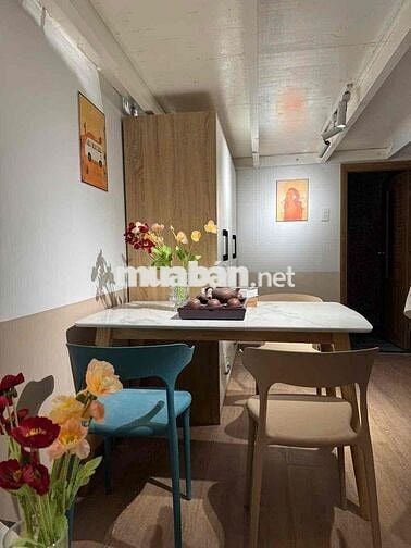 Có người sưu tầm tranh, tôi sưu tầm những căn nhà biết thở