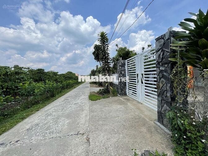 Cần bán lỗ gấp trong tuần 22x57,5m, 1266m2 giá 300triệu sẵn nhà cấp 4