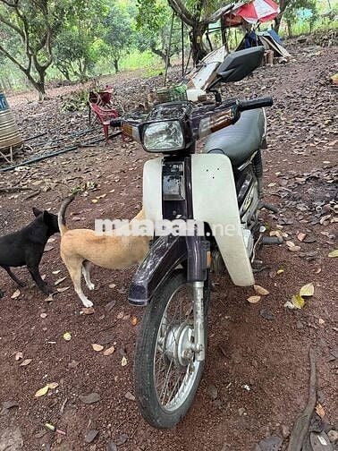 boss sada siêu bền siêu tiết kiệm xăng