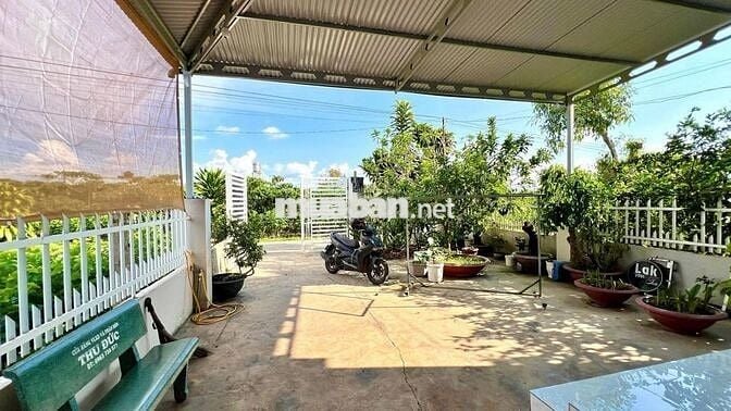 Cần bán lỗ gấp trong tuần 22x57,5m, 1266m2 giá 300triệu sẵn nhà cấp 4