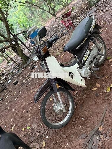 boss sada siêu bền siêu tiết kiệm xăng