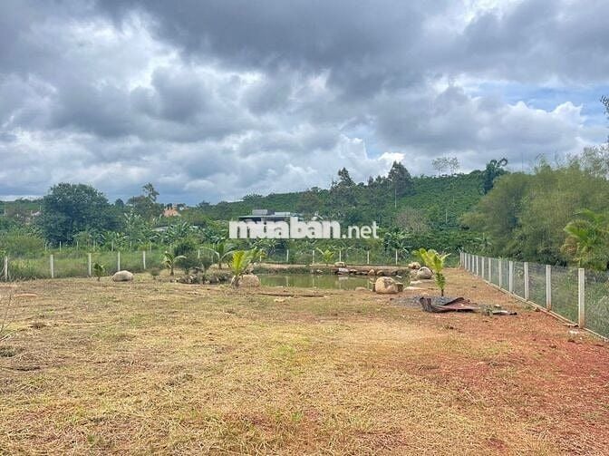 Cần tiền trả nợ bán lỗ lô 1920m2 giá 300triệu Phường Lộc Phát- Bảo Lộc