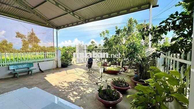 Cần bán lỗ gấp trong tuần 22x57,5m, 1266m2 giá 300triệu sẵn nhà cấp 4