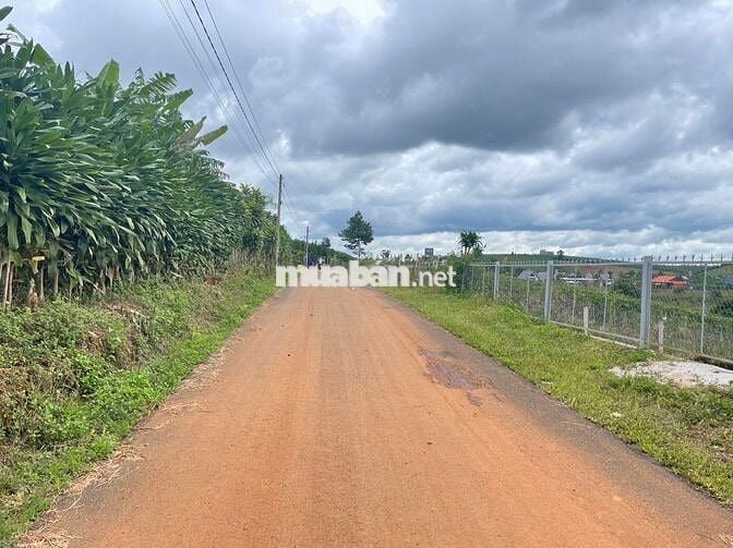 Cần tiền trả nợ bán lỗ lô 1920m2 giá 300triệu Phường Lộc Phát- Bảo Lộc