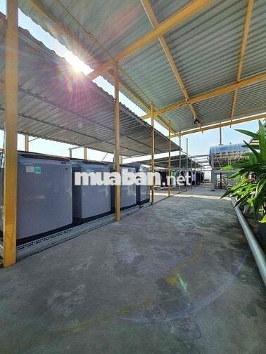 Căn Hộ Thang Máy Gác Cao Ở Được 3 - 4 Người Ngay Trung Tâm