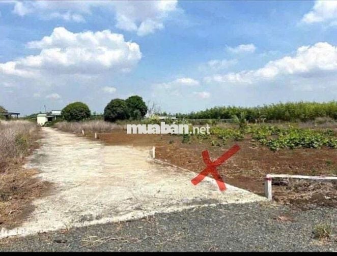 ĐẤT GẦN KHU CÔNG NGHIỆP ĐẤT ĐỎ 1 CẦN BÁN