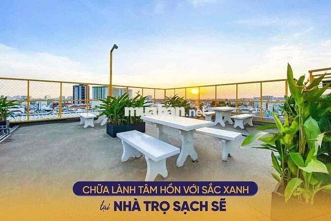Căn Hộ Thang Máy Gác Cao Ở Được 3 - 4 Người Ngay Trung Tâm