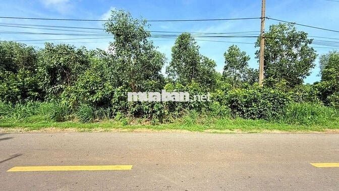 Đất Làm Nhà Vườn Gần Biển
Mặt tiền đường Nguyễn Huệ- Đất Đỏ- BRVT