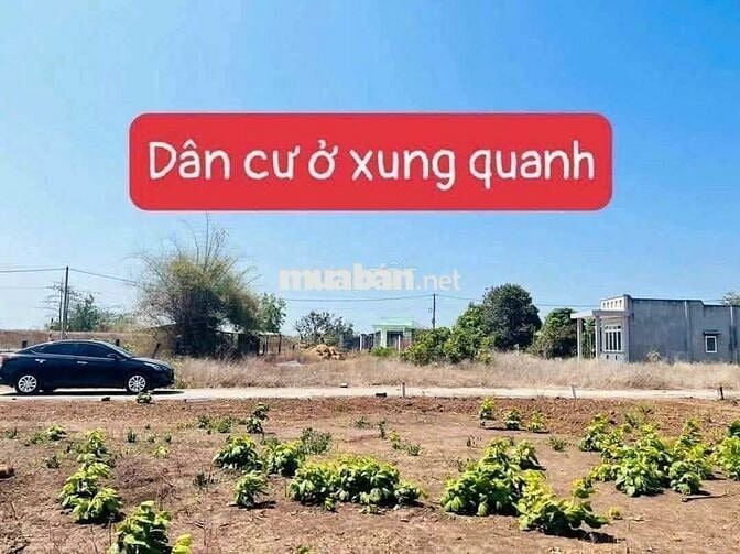 ĐẤT GẦN KHU CÔNG NGHIỆP ĐẤT ĐỎ 1 CẦN BÁN
