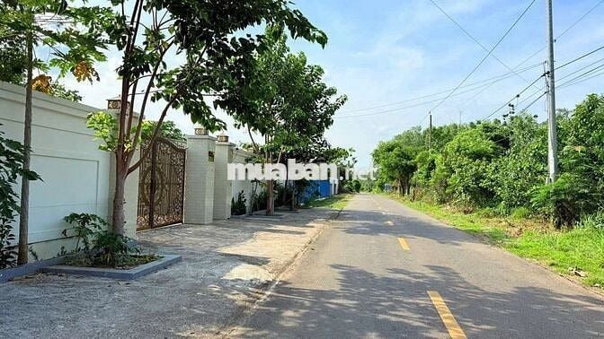 Đất Làm Nhà Vườn Gần Biển
Mặt tiền đường Nguyễn Huệ- Đất Đỏ- BRVT