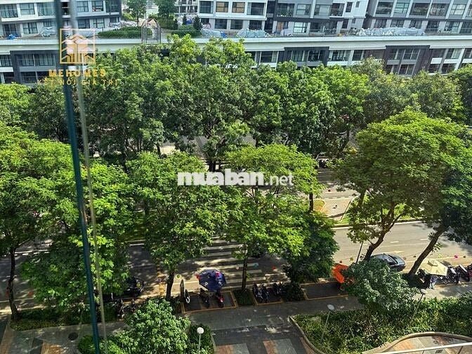 BÁN NHIỀU CĂN HỘ DIAMOND ALNATA PLUS,EMERALD,BRILLIANT QUẬN TÂN PHÚ