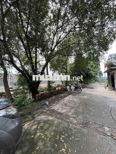 Đất 4 x 20M - Sẹc An Phú Đông Quận 12