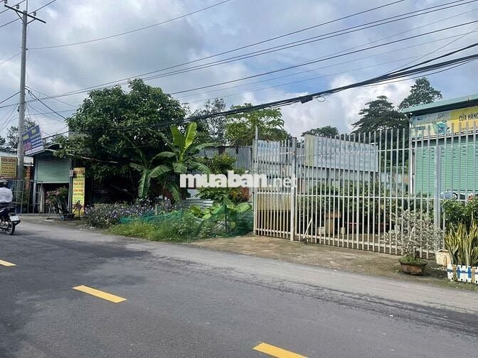 BÁN ĐẤT THỔ CƯ ĐƯỜNG CÂY TRÔM MỸ KHÁNH - THÁI MỸ - SỔ HỒNG RIÊNG