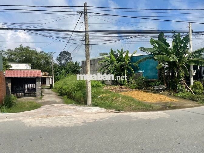 BÁN ĐẤT THỔ CƯ ĐƯỜNG CÂY TRÔM MỸ KHÁNH - THÁI MỸ - SỔ HỒNG RIÊNG