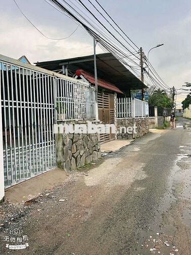 Vi Bằng  giá  chỉ 1990 tl đường thông  xe tải  
2 pn giáp qu12  60 m