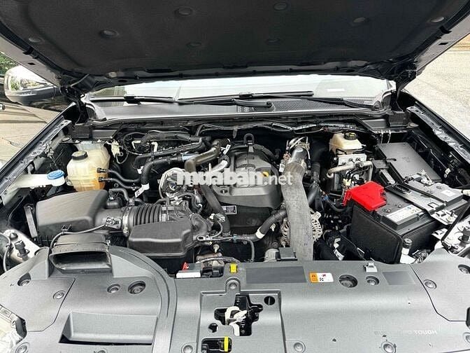 Ford Everest Titanium 4x2 AT 2024 sơn zin 99%