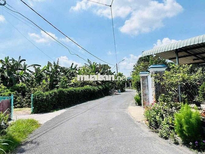 🏡 BÁN ĐẤT ẤP 5 – XÃ PHƯỚC VĨNH AN – HUYỆN CỦ CHI 🏡