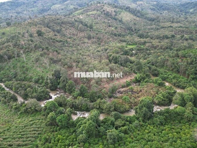 Cần bán lô đất viu suối đẹp đã có 100 thổ cư