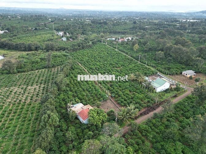 Cần bán lô đất viu suối đẹp đã có 100 thổ cư