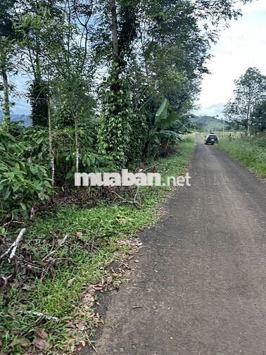 Cần bán lô đất viu suối đẹp đã có 100 thổ cư