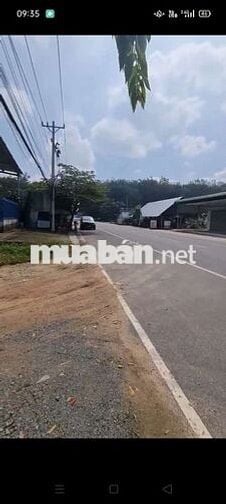 Đất sào giá rẻ đường ĐH-605 Chánh Phú Hòa 8.000m² giá 12,6 tỷ chốt KTL