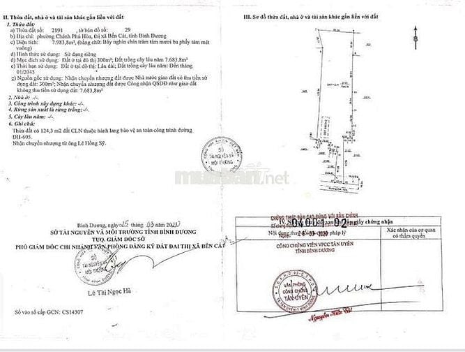 Đất sào giá rẻ đường ĐH-605 Chánh Phú Hòa 8.000m² giá 12,6 tỷ chốt KTL