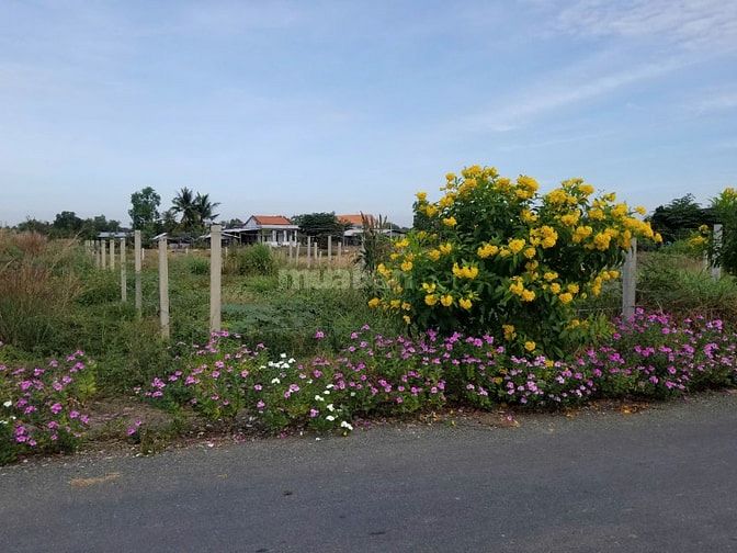 Bán 2 lô đất thổ cư 137.9m2 và 140 m2 liền kề shr, MT đường 9m, CĐ, LA