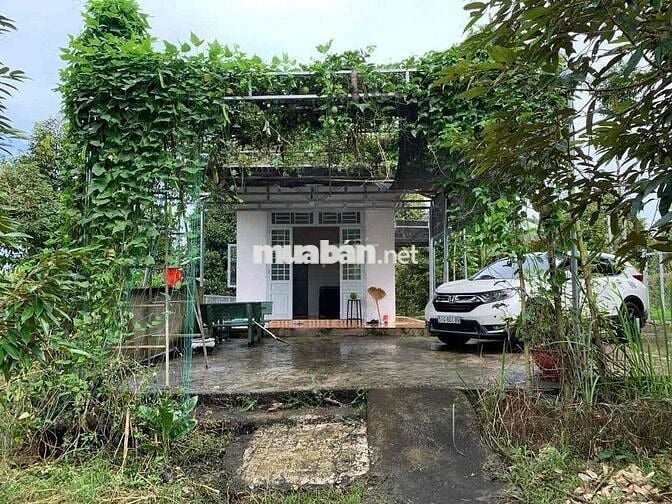 4000m2 ĐẤT XUÂN QUẾ CÓ SẲN NHÀ