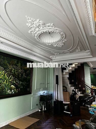 Cho thuê biệt thự đầy đủ nội thất gần siêu thị Aeon