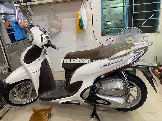 SH Mode trắng hiếm – chính chủ nữ, xe như mới 99%