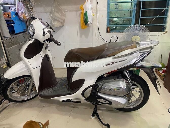 SH Mode trắng hiếm – chính chủ nữ, xe như mới 99%